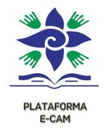 PLATAFORMA E-CAM